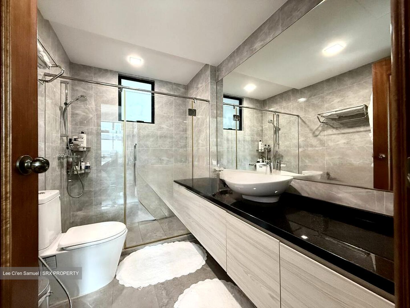 Spring Grove (D10), Condominium #470756261